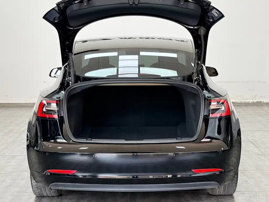 Tesla Model 3 — миниатюра 16