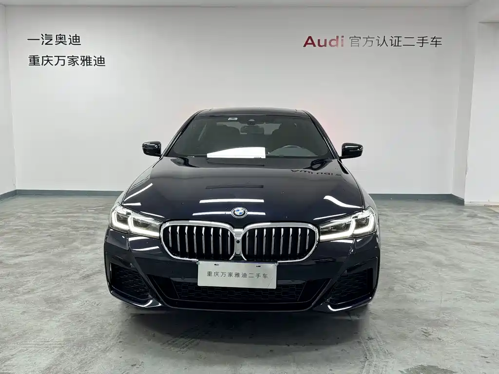 BMW 5 Series — миниатюра 3