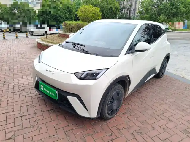 2025 BYD Seagull