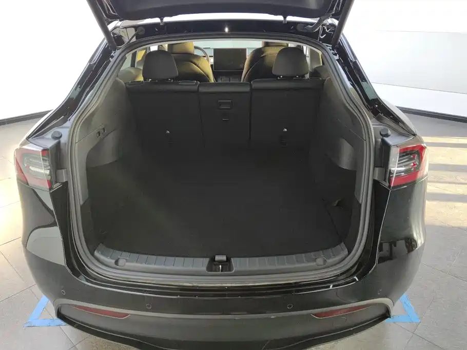 Tesla Model Y — миниатюра 4