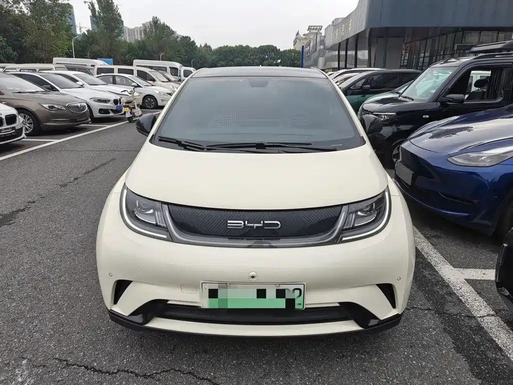 BYD Dolphin — миниатюра 2