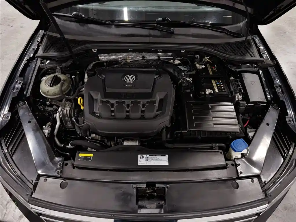 Volkswagen Magotan 2019 330TSI DSG Lead VI