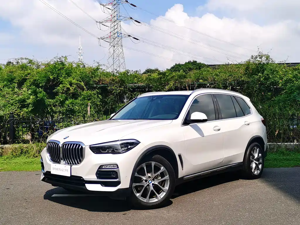 BMW X5 (Import) — миниатюра 6