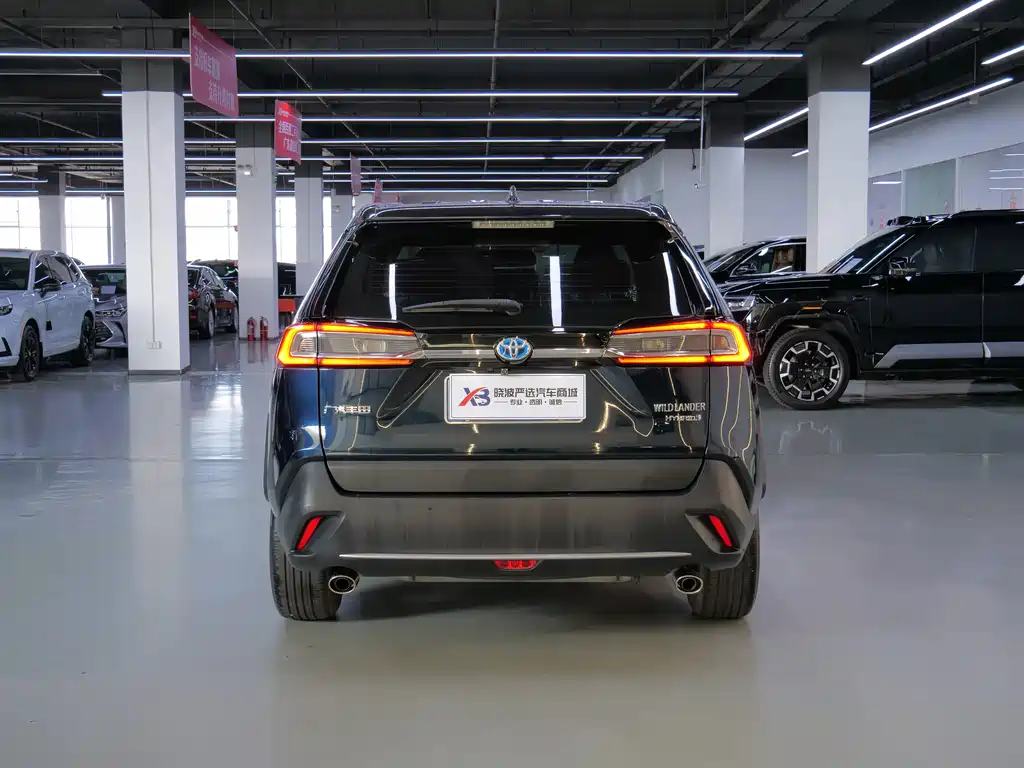 Toyota Wildlander — миниатюра 6