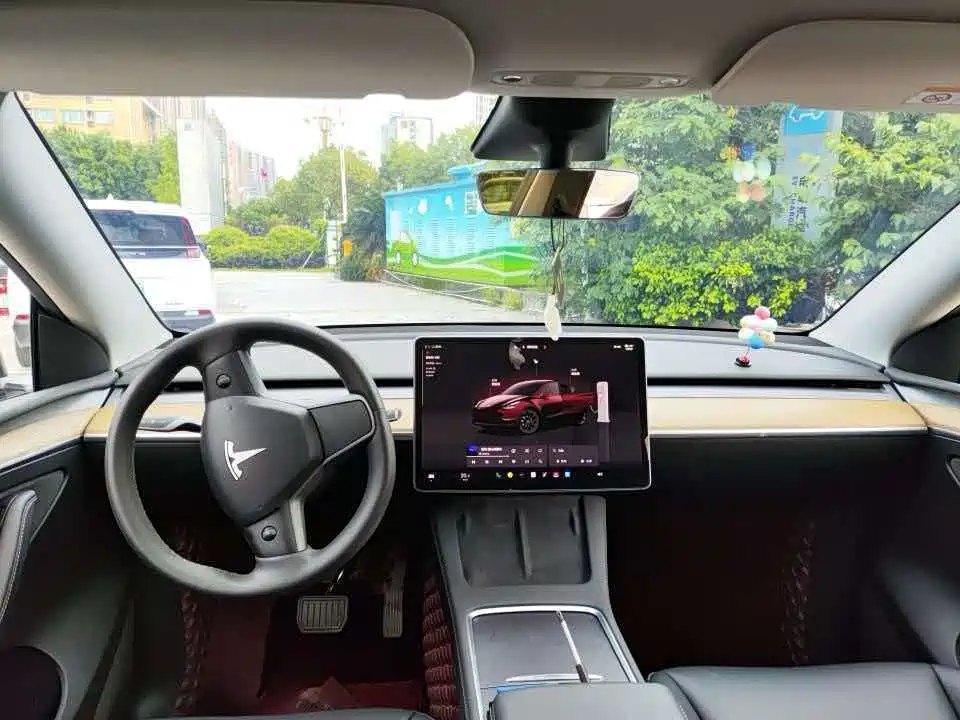 Tesla Model Y — миниатюра 8