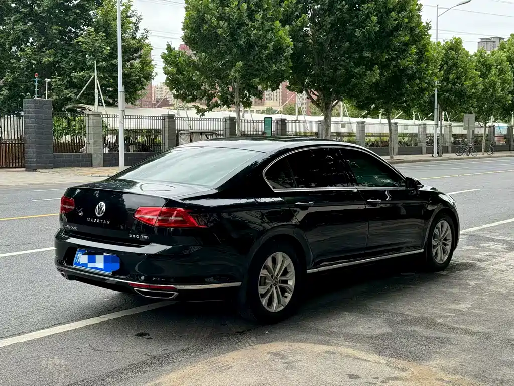 Volkswagen Magotan 2018 330TSI DSG Luxury
