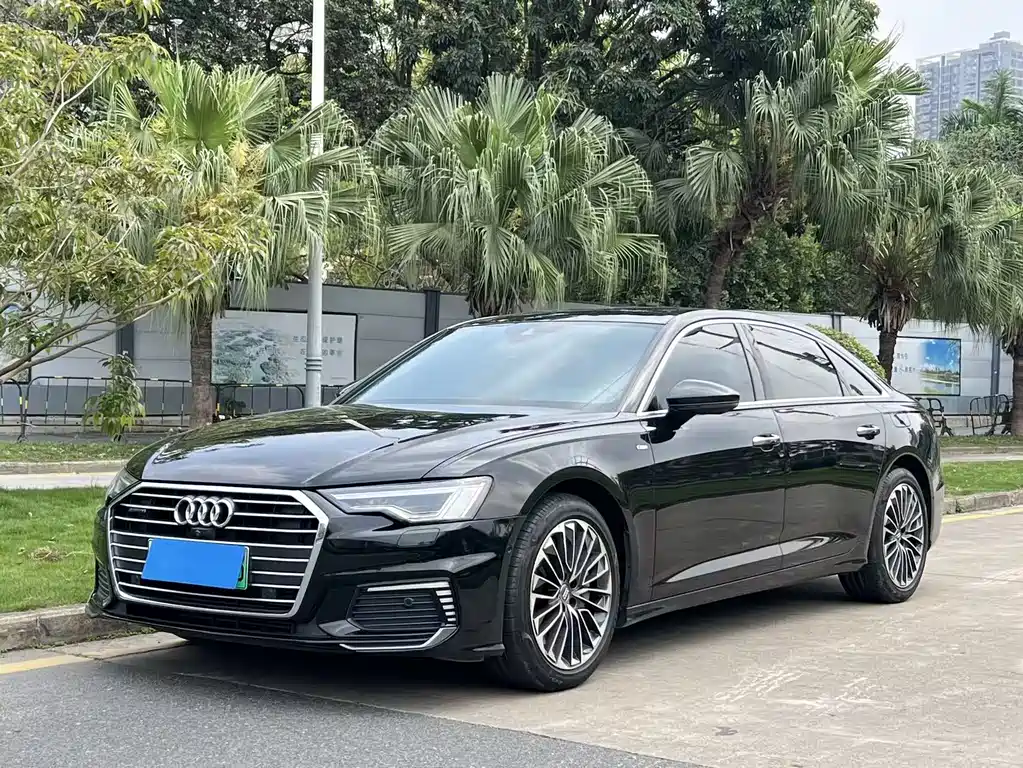 Audi A6L New Energy 2020