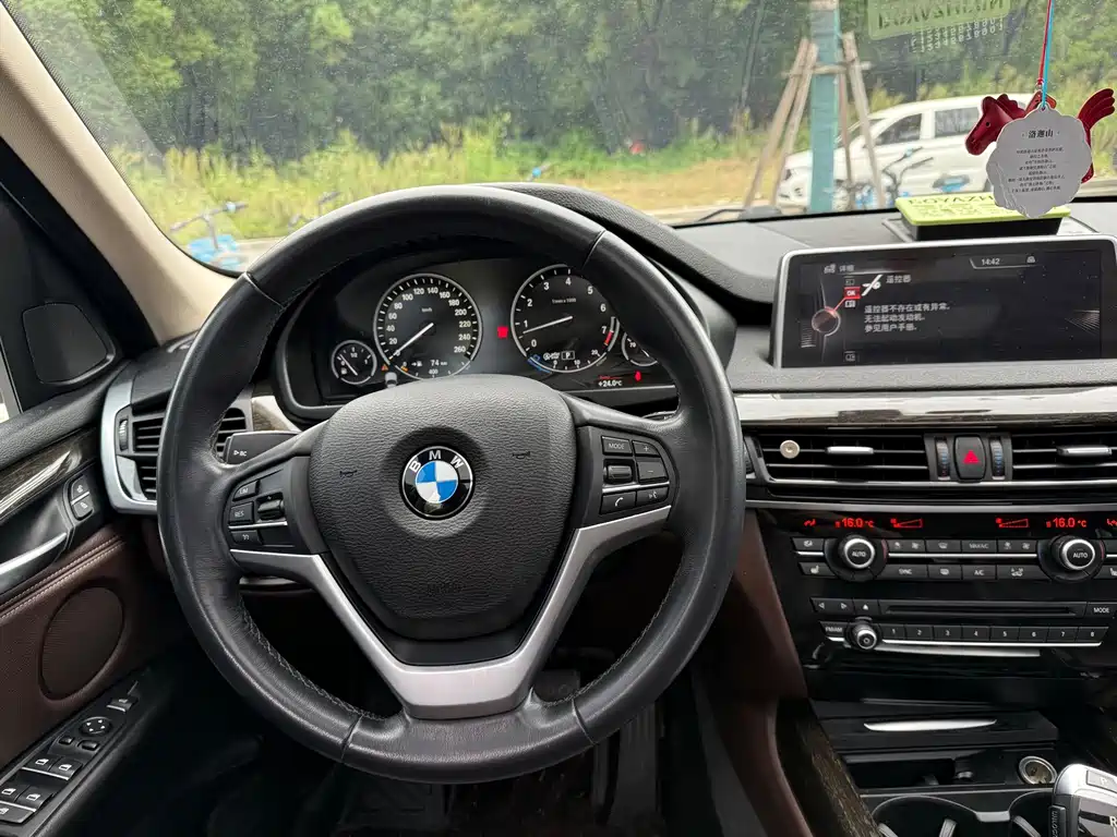 BMW X5 (Import) — миниатюра 14