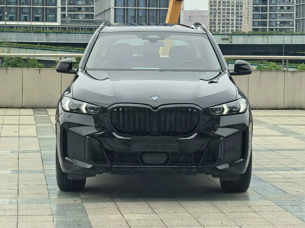 BMW X5 — миниатюра 2