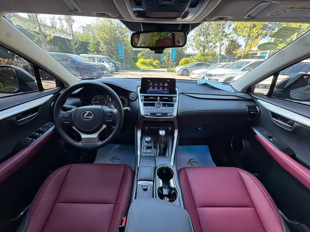 Lexus NX — миниатюра 9
