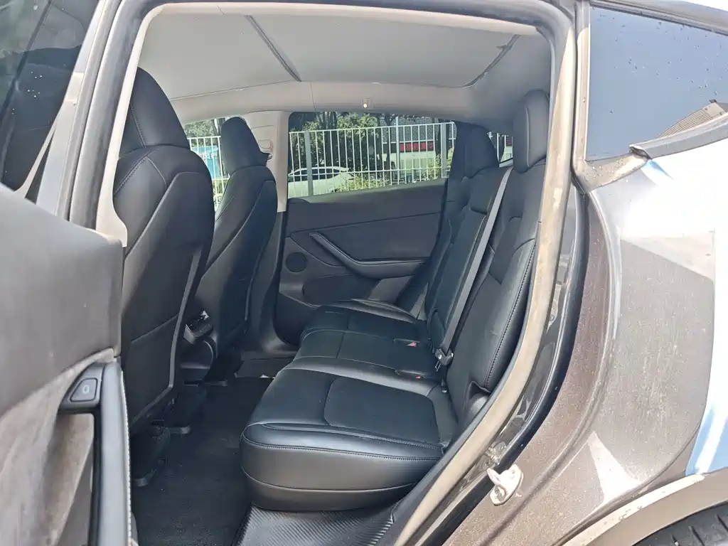Tesla Model Y — миниатюра 7
