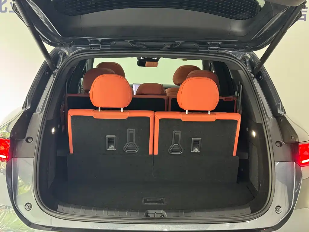 BYD Дон Л. — миниатюра 9