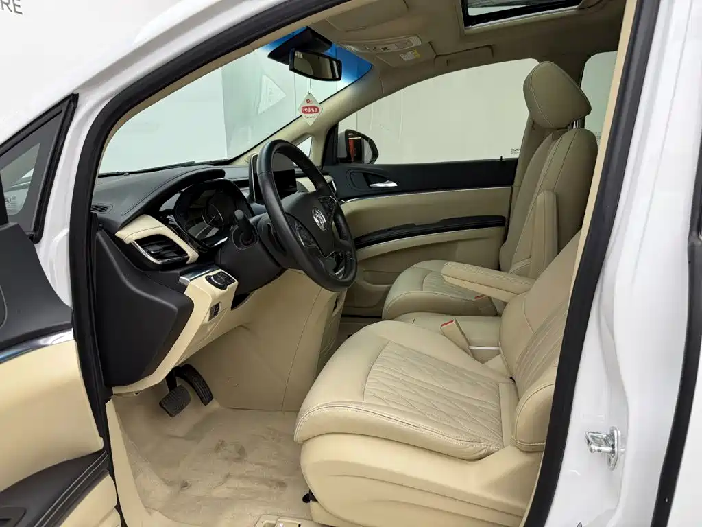 Buick GL8 — миниатюра 10