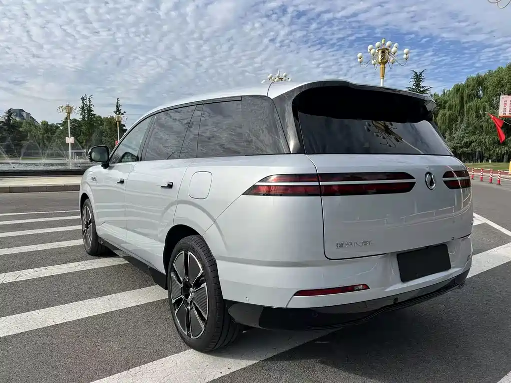 Denza Denza N8L — миниатюра 3