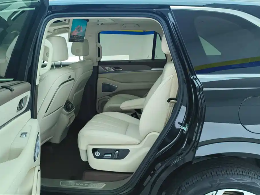 WEI PAI WEI BRAND BLUE MOUNTAIN