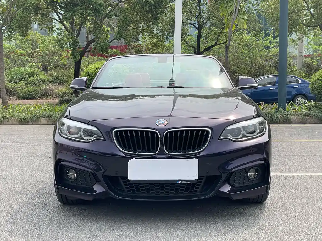 BMW 2 Series 2 2019 225i Premium M Sport