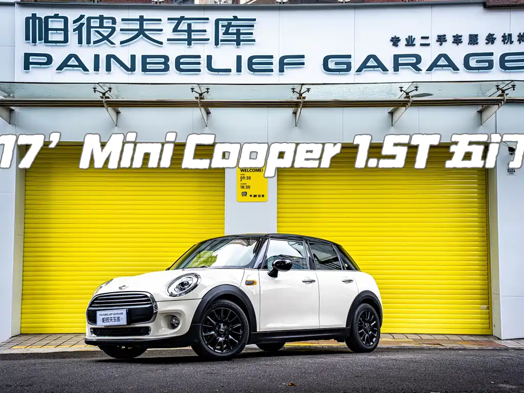 Mini Mini 2017