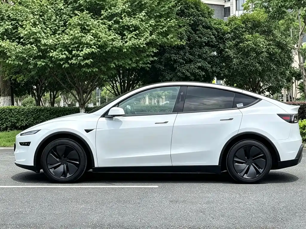 Tesla Model Y — миниатюра 8
