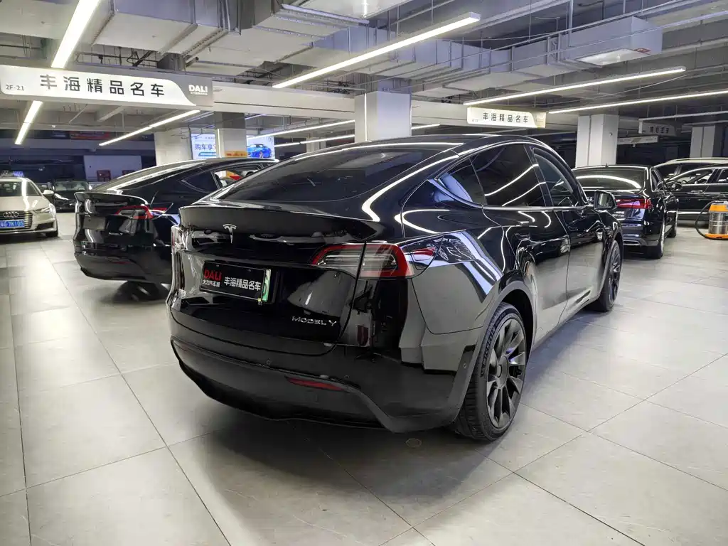 Tesla Model Y 2021 — фото 14