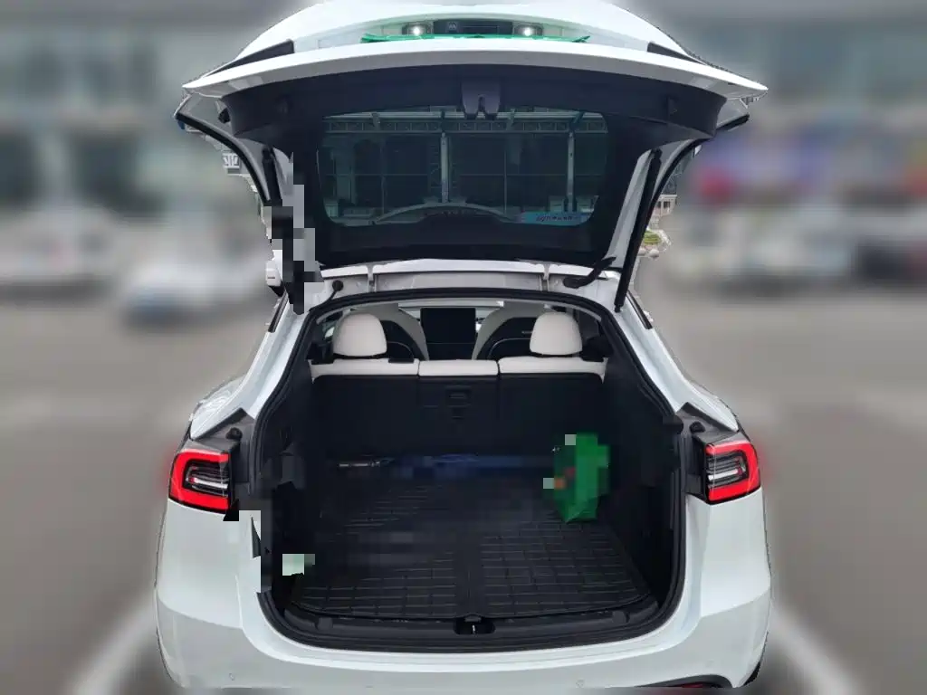 Tesla Model Y — миниатюра 10