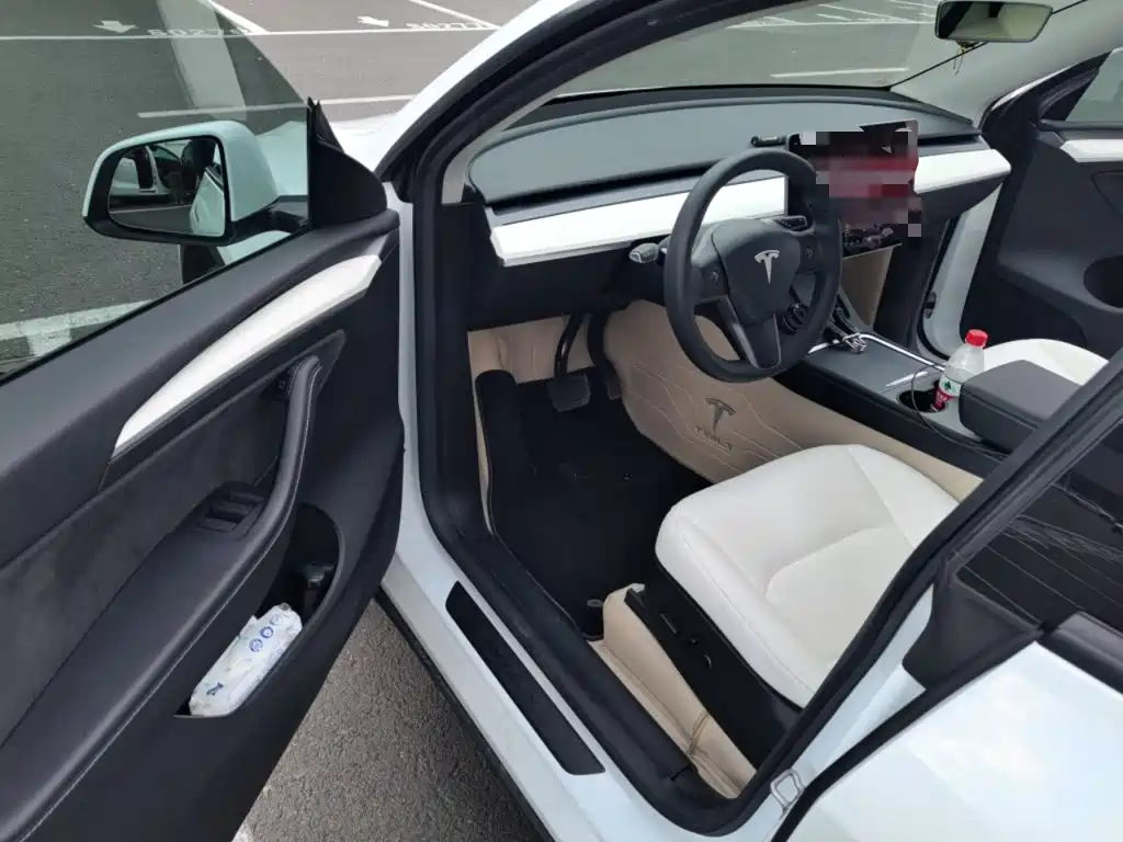 Tesla Model Y — миниатюра 14