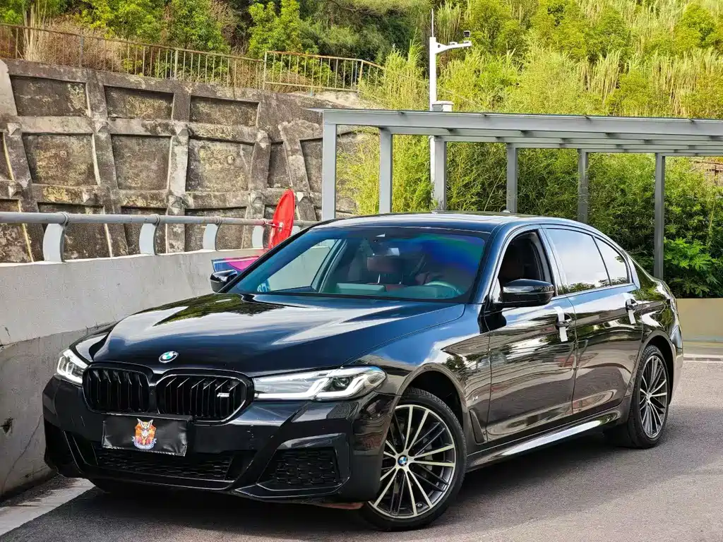 Купить BMW 5 Series