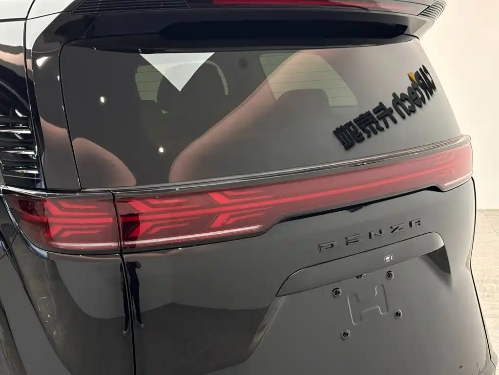 Denza Denza D9 — миниатюра 21