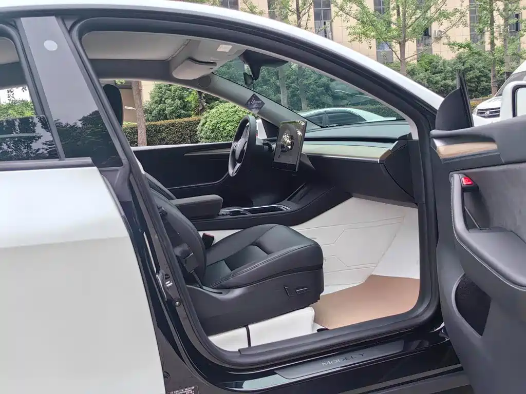 Tesla Model Y — миниатюра 18