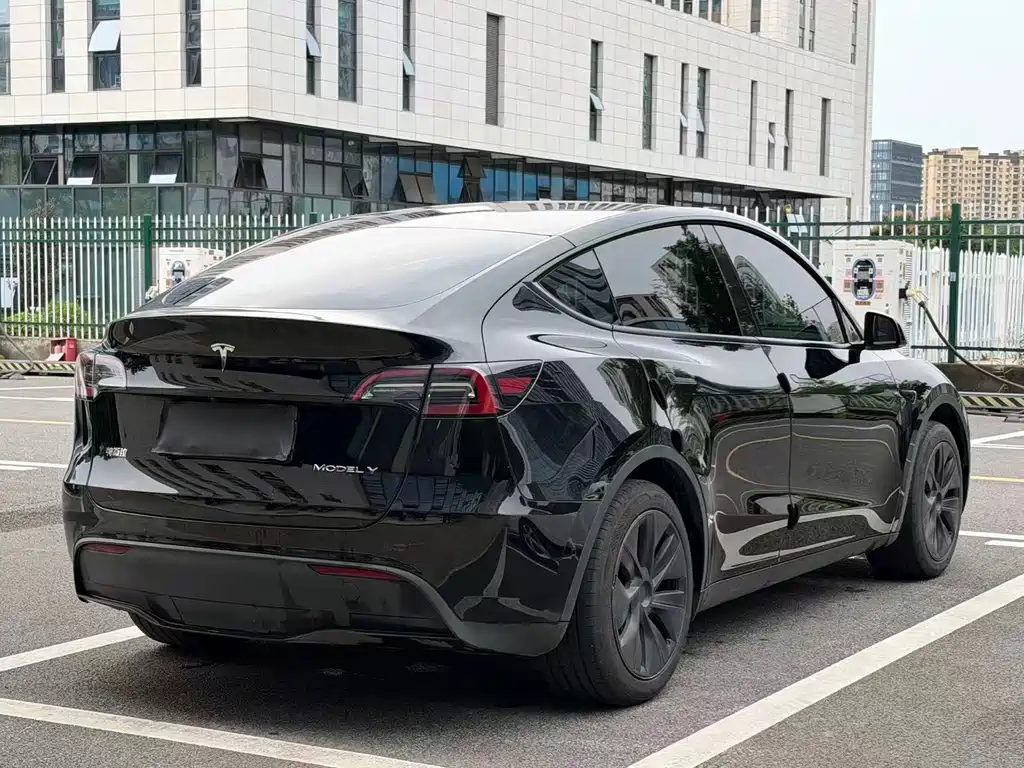 Tesla Model Y — миниатюра 6