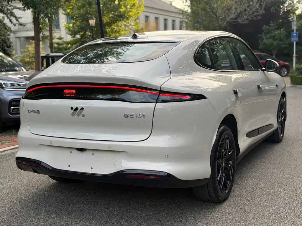 IM IM LS6 — миниатюра 11