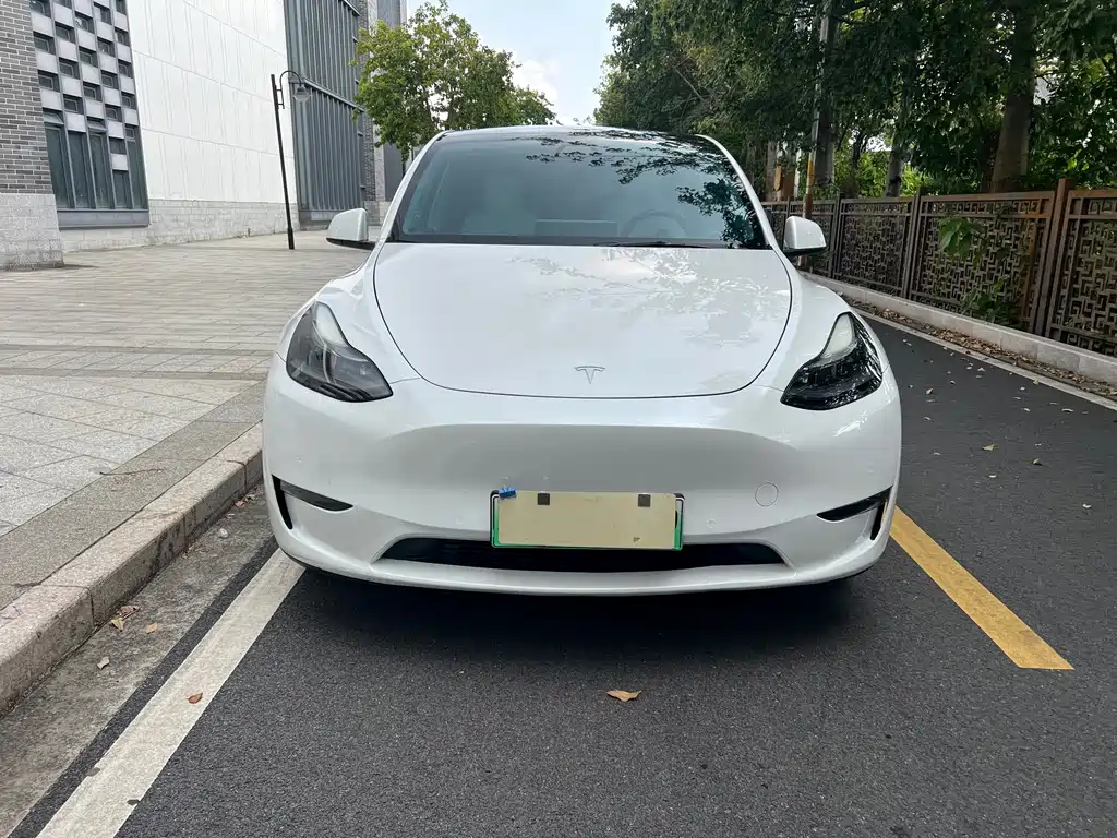 Tesla Model Y — миниатюра 2
