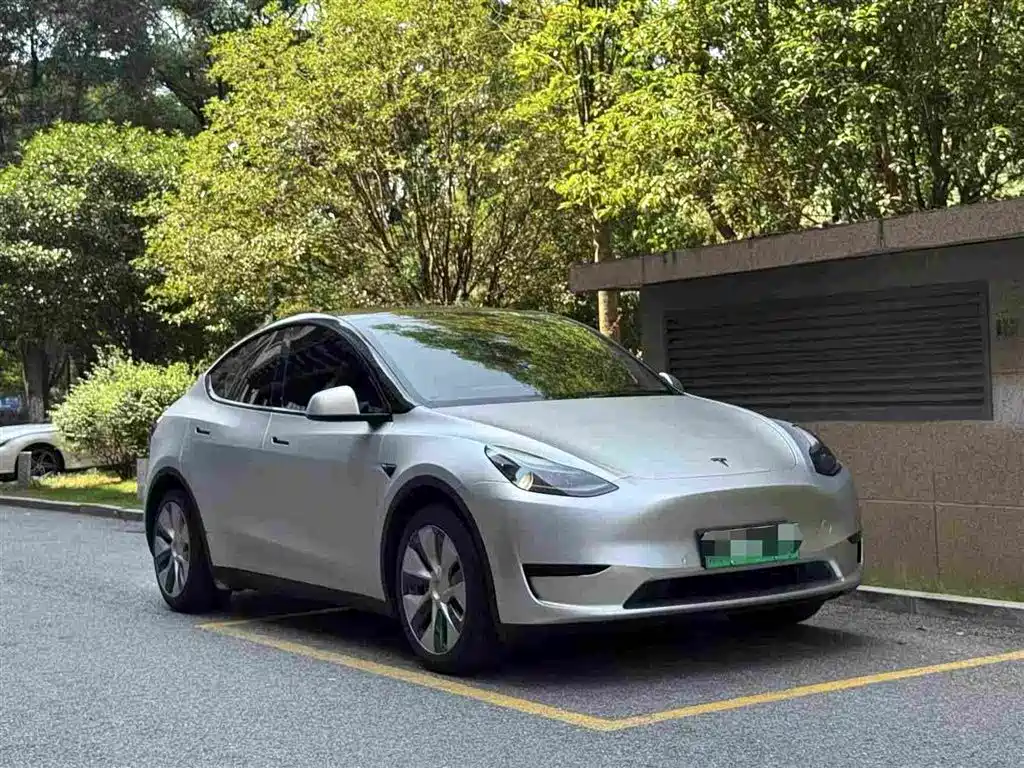 Tesla Model Y — миниатюра 3
