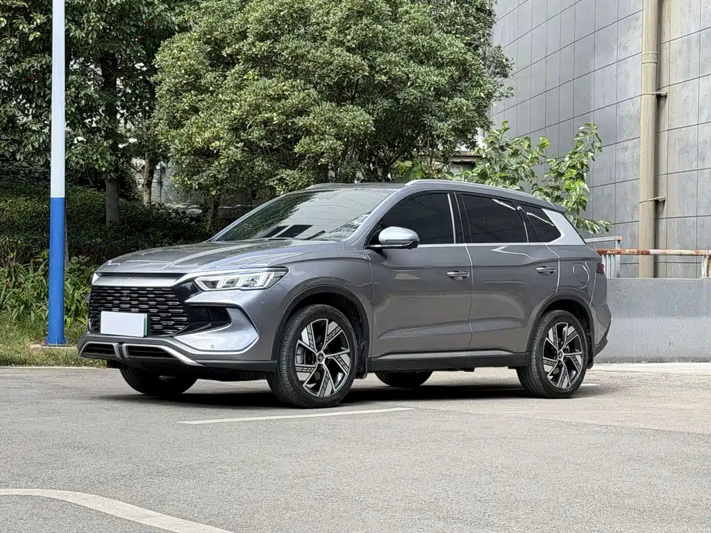 BYD Pro New Energy
