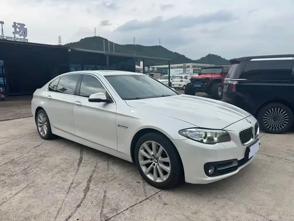 BMW 5 Series 5 2014 528Li Lead