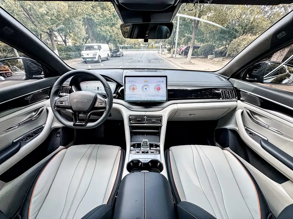 BYD PLUS New Energy — миниатюра 13