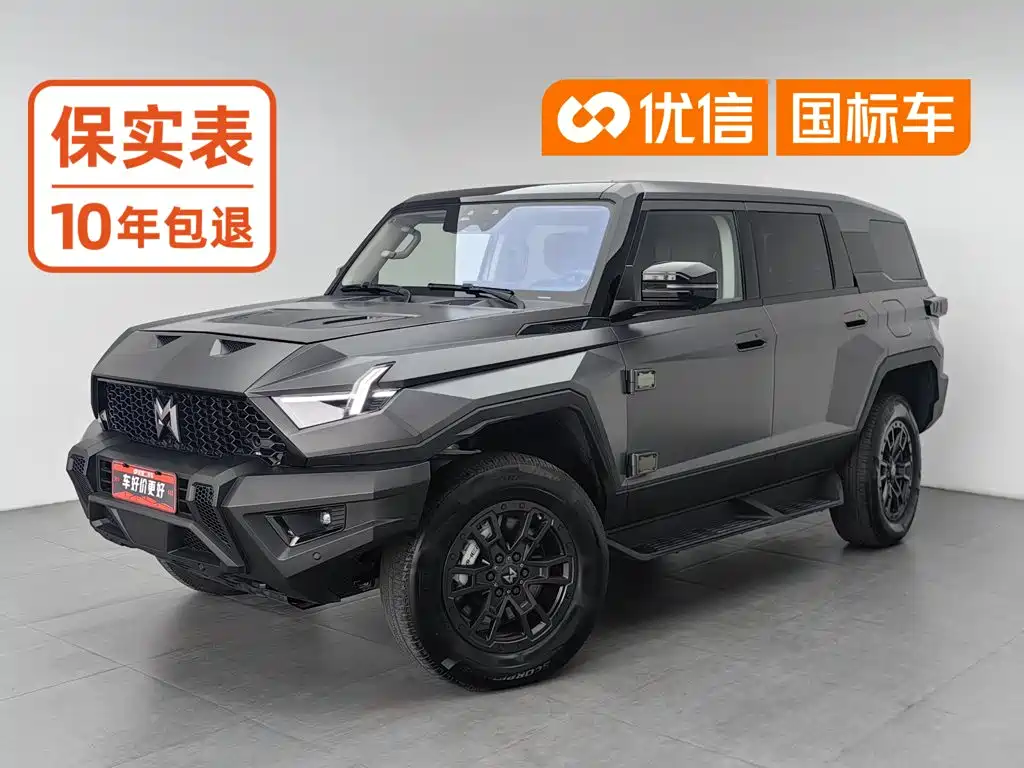 Mengshi Mengshi 917