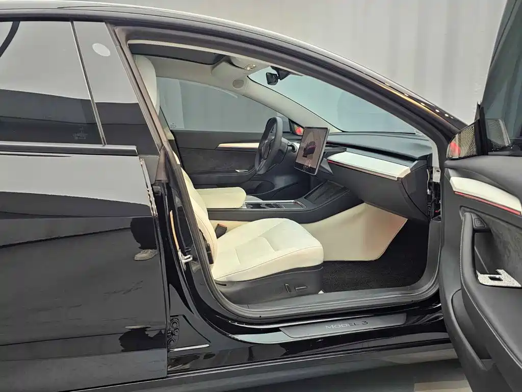 Tesla Model 3 — миниатюра 14