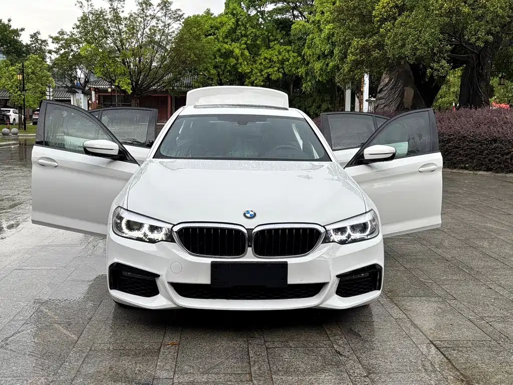 BMW 5 Series (Import) — миниатюра 12