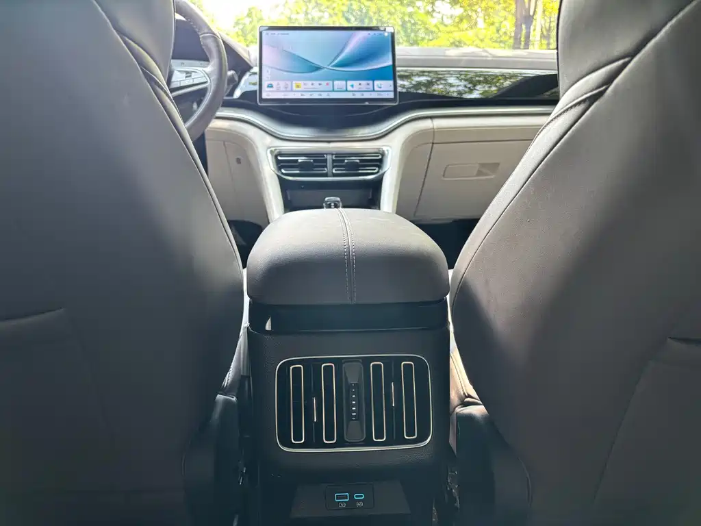 BYD PLUS New Energy — миниатюра 19