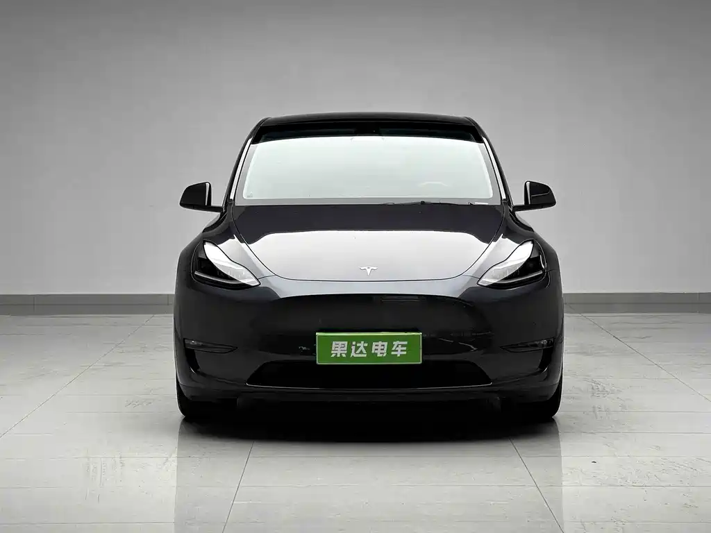 Tesla Model Y — миниатюра 2