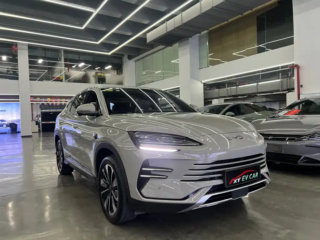 BYD SONGJIANG NEW ENERGY