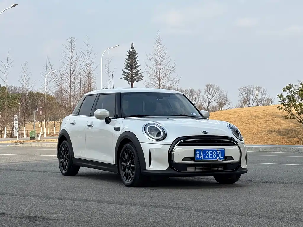 Mini Mini 2024