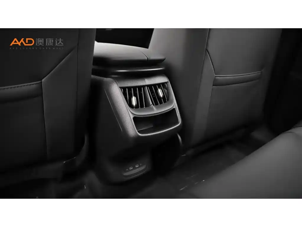 VOLKSWAGEN WITH THE CROWD 06