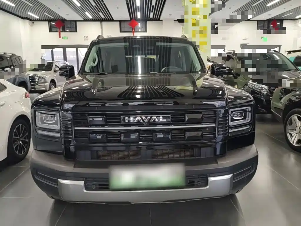 Haval Menglong New Energy — миниатюра 3