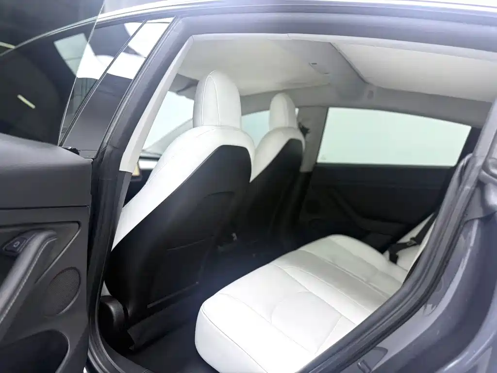 Tesla Model 3 — миниатюра 5