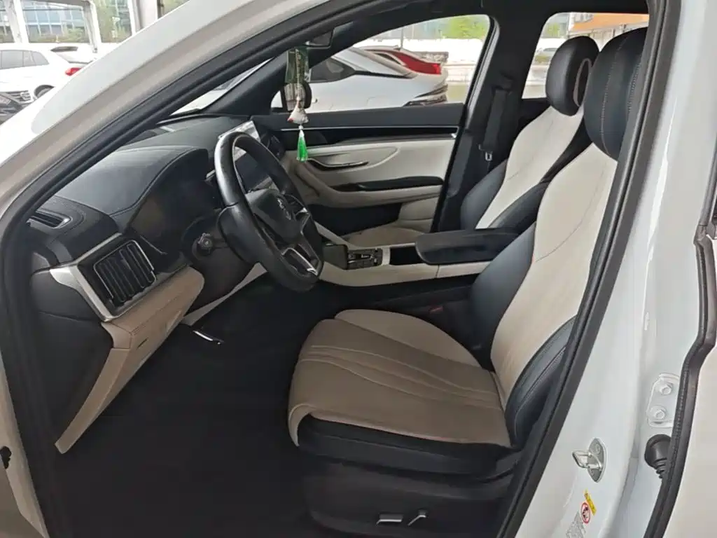 BYD PLUS New Energy — миниатюра 15