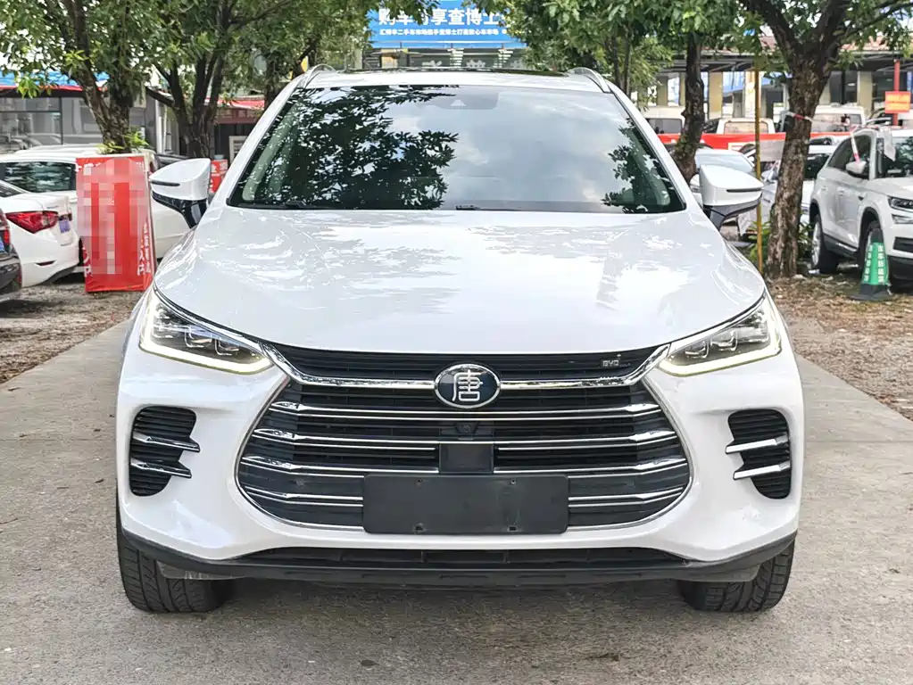 BYD Tang New Energy — миниатюра 3