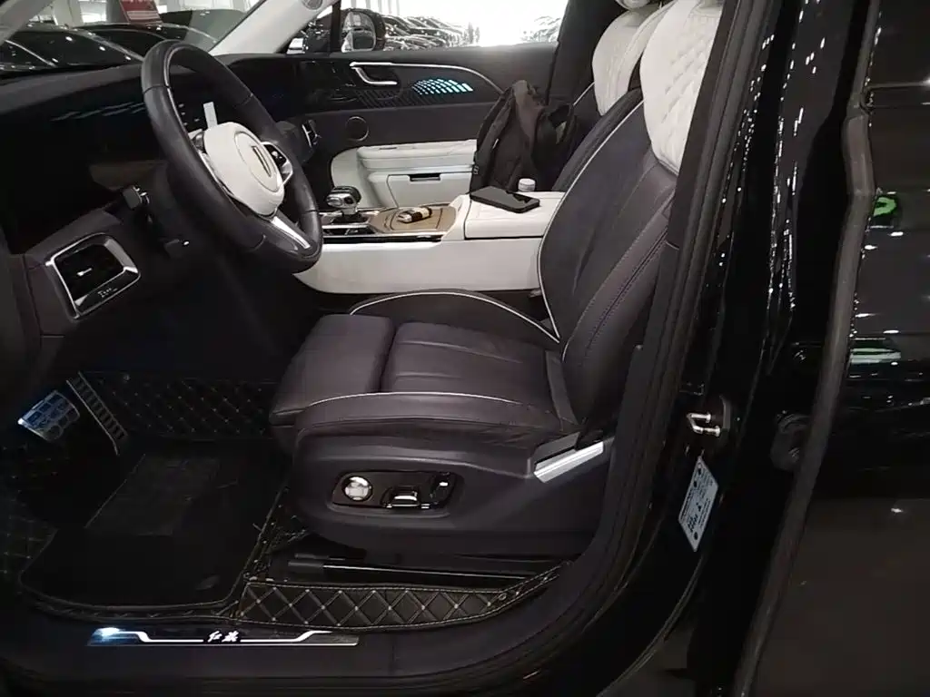 Hongqi Hongqi E-HS9 — миниатюра 15