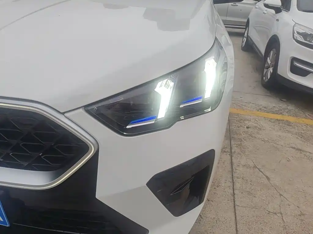 BMW X2 (Import) — миниатюра 24
