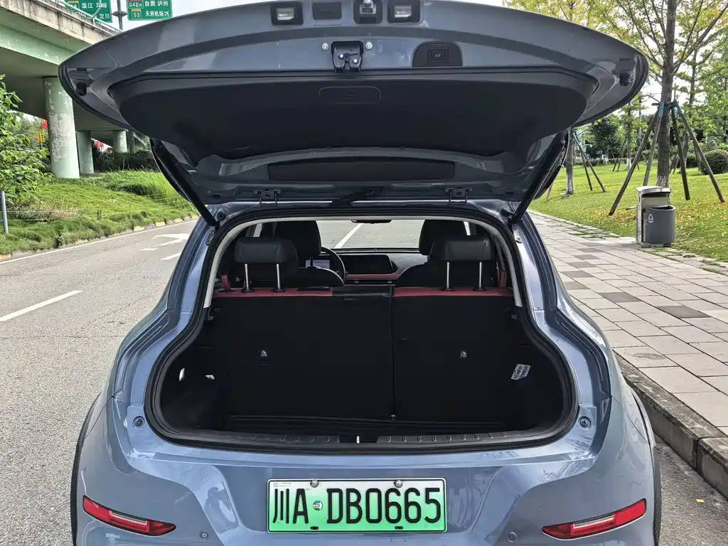 Ora Ora Good Cat GT — миниатюра 14